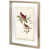 Common Cardinal Grosbeak