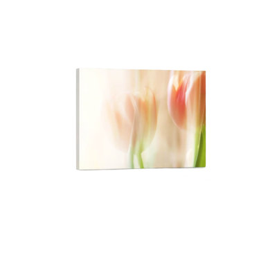 Art mural sur toile 24 "x 18"