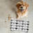 Amour Artistry - 1 Piece Bone Shape Feeding Mat