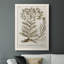 «Sepia Botanical Journal I», reproduction d'art sur toile-88391920-88391914