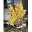 Cymbidiums In Moon Vase-332097416