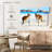 Cape Le Grand Kangaroos-2139052103