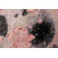 One-of-a-Kind No Area Rug