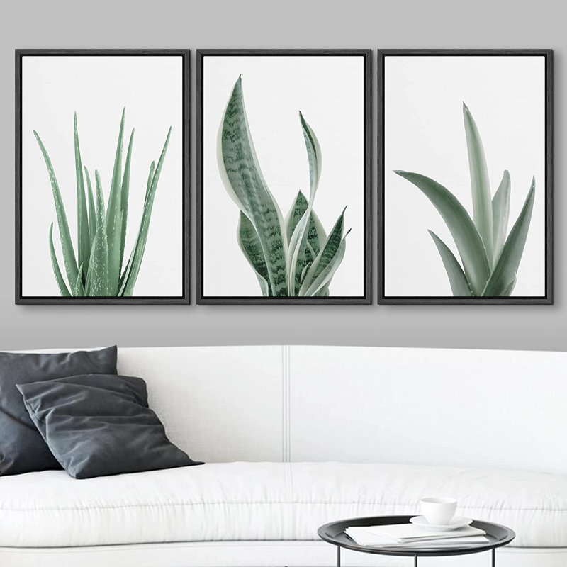 Minimal Botanical " Minimal Snake Plant Agave Succulents Nature " 3 - Pieces, 24" H x 48" W, Picture Framed Canvas, Black
