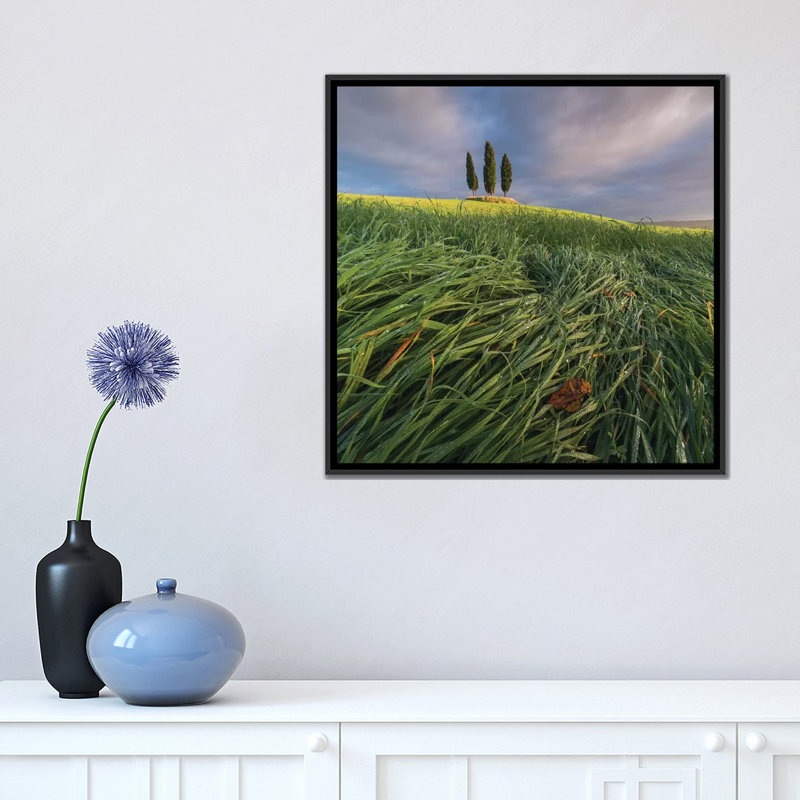 «Spring in Tuscany VI», impression sur toile, H 26 po x l 26 po x P 1,5 po, Toile encadrée noire, Pas de tapis