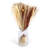 17.7 " H Faux Pampas Grass