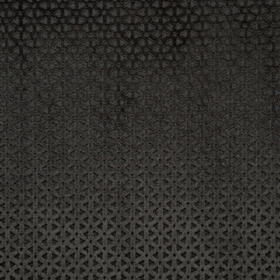 Lustro Fabric