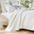 Greenland Home Fashions Monterrey Antique White 3-Piece King Size Quilt Set 105x95 + 20x36 (2)-424953401-424953402