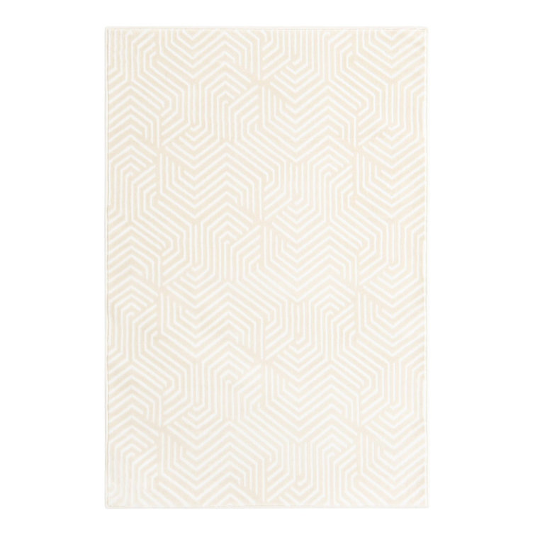 Echo Olukemi Rug
