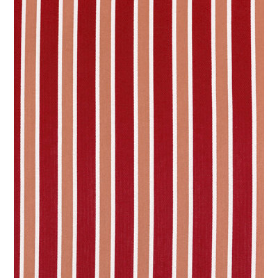 Rhapsody Striped Fabric
