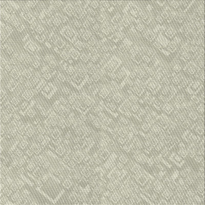 Indoor Rug