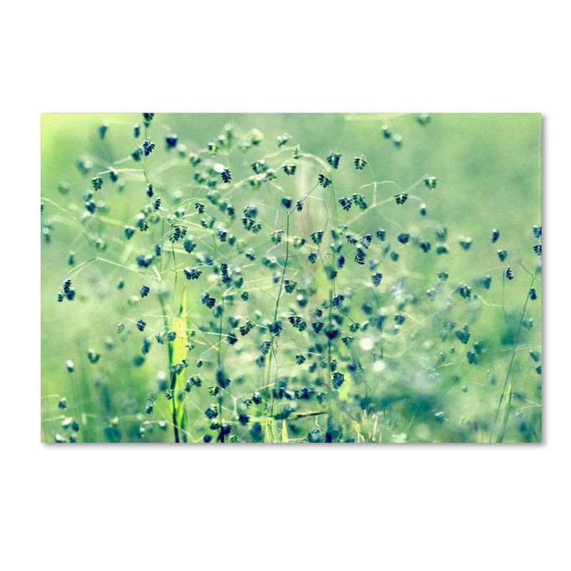 « spring notes » par "beata czyzowska young, reproduction de photo sur toile tendue, H 22 po x l 32 po x P 2 po