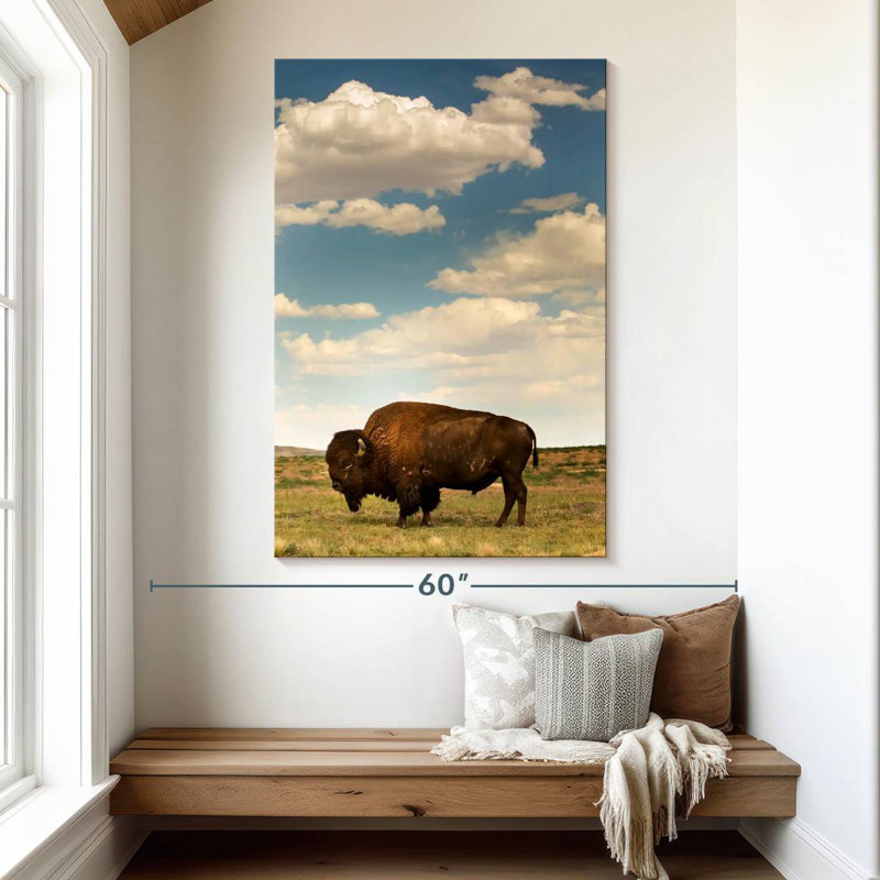 Bison des Rocheuses Brampt, H 51 po x l 34 po