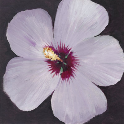 Portrait d'hibiscus I