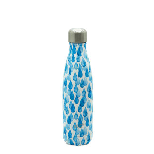 WD Lifestyle 16.9oz. Insulated Stainless Steel Water Bottle