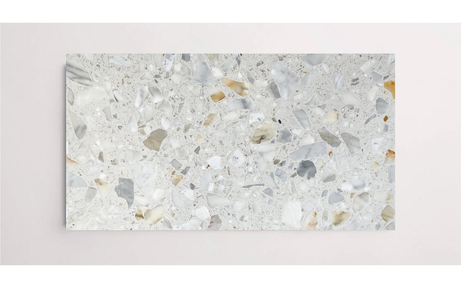 Agglo 24" x 24" Honed Tile, New Bianco Scato