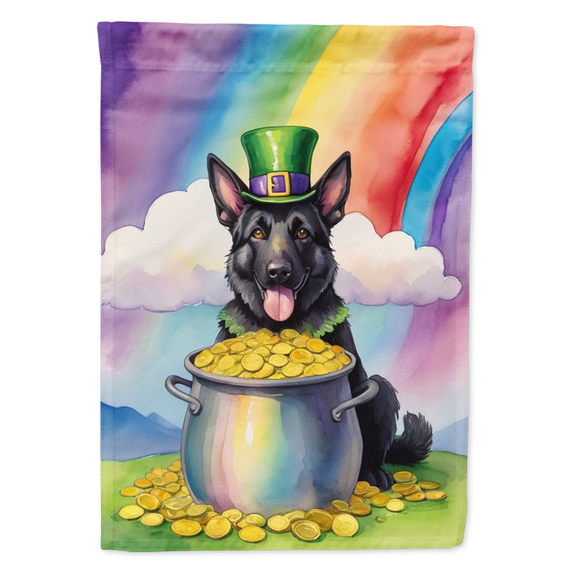 Drapeau double face en polyester H 40 po x l 28 po St Patrick's Day House
