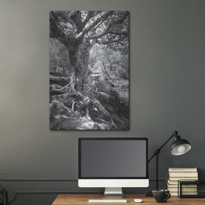  «Old Tree» par Lori Deiter, art mural en métal, 24 po x 36 po, H 36 po x l 24 po