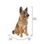 Sitting German Shepherd Statue-34191795
