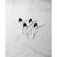Portola Dinner Spoons, Set of 4