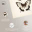 Impression sur toile Butterfly Stack par Art Remedy, tendue sur châssis, 16 x 24-623696673-623696694