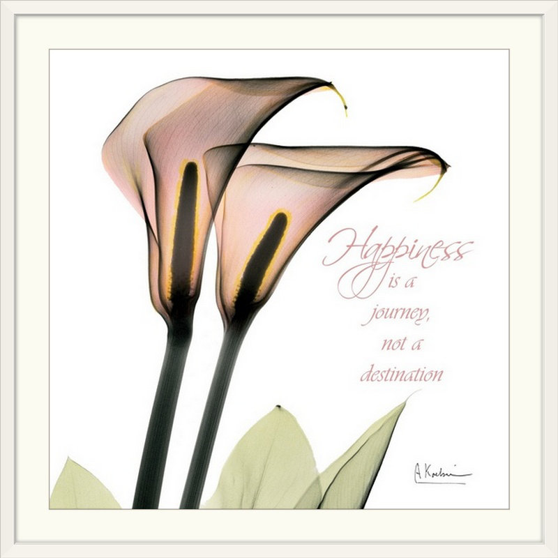 Reproduction de photo de Manigault, Callas Happiness X-Ray par Kiranjit, Cadre blanc, H 24 po x l 24 po x P 1 po