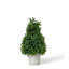 Faux Dracaena Plant-1861991714