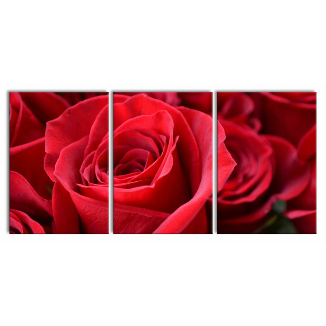 3-tlg. Leinwandbilder-Set Romantic Roses