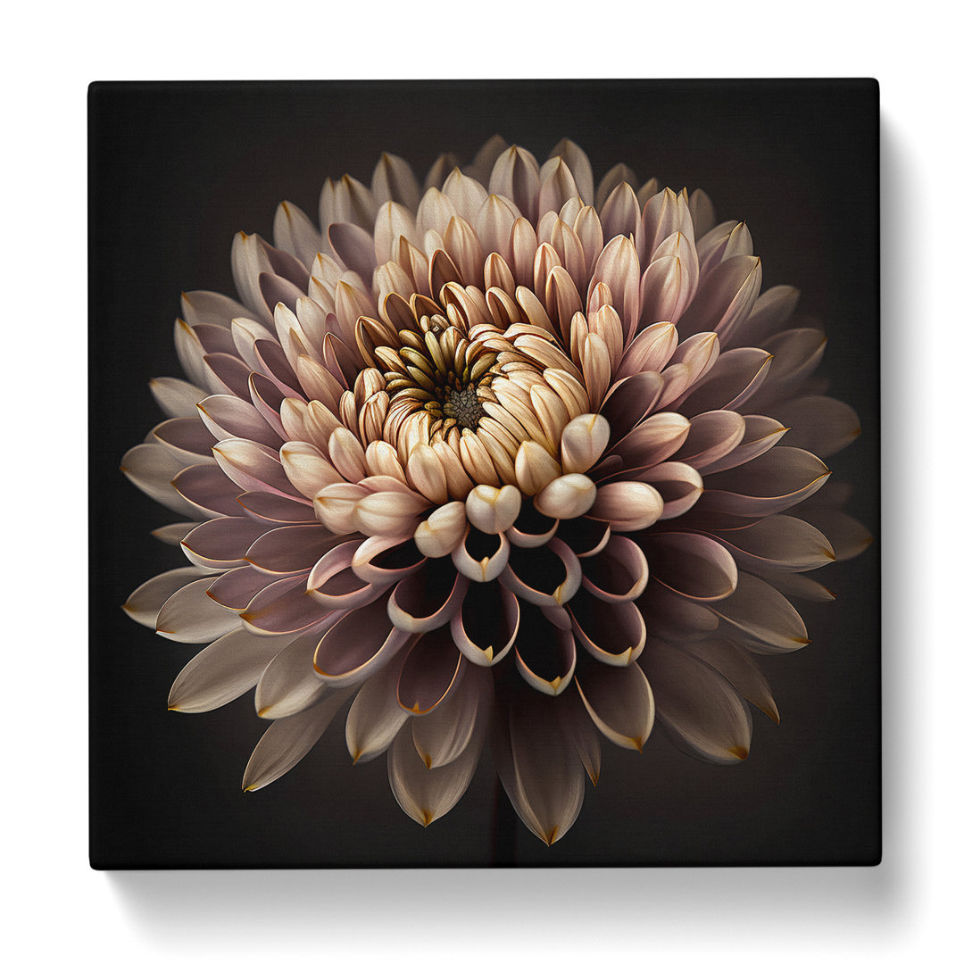 Chrysantheme Fotografie - Kunstdrucke