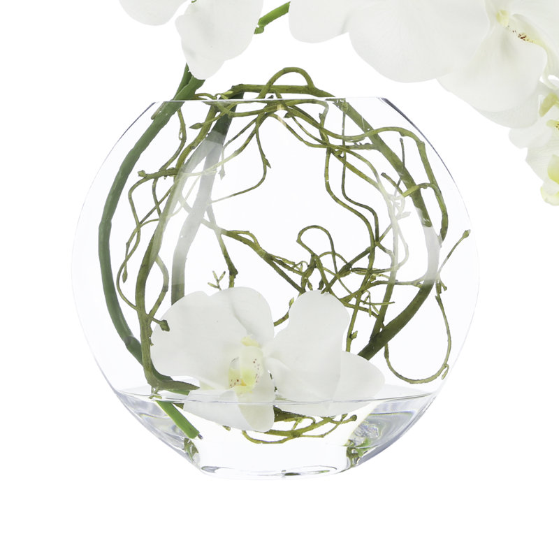 Orchid and Vine Arrangement in Glass Vase, White