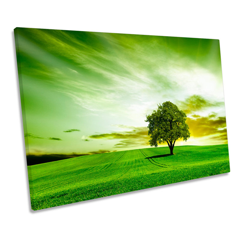 Green Landscape Tree Countryside - Wrapped Canvas Print, 40.6cm H x 61cm W x 2cm D