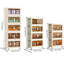 Armoire de rangement 19,69 po