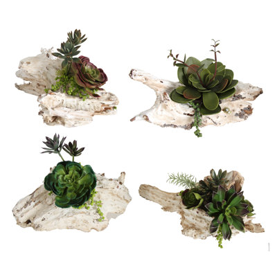 6.5 " H Faux Succulent