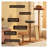 Modern Cat Tree with Acrylic Pod, Oak Veneer & Solid Rubberwood Posts, Multi-Level Scratching Post Tower for Indoor Cats