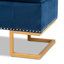 Velvet Tufted Rectangle Solid Colour Ottoman with Storage-527571671