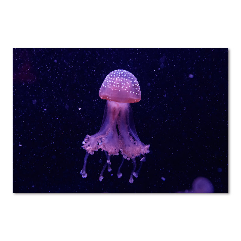 Macro d'une belle méduse Phyllorhiza - photographie sur toile, H 40 po x l 60 po, Toile tendue