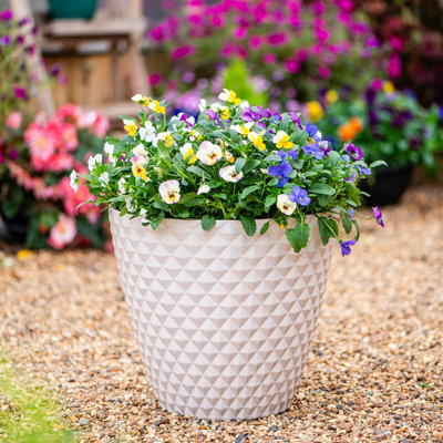 Cataleah Pot Planter
