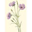 Delicate Wildflowers VI - Painting on Canvas-456939755-514173849