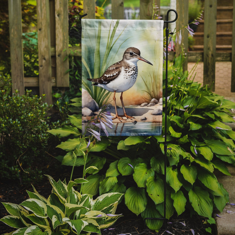 Drapeau de jardin Surfbird Bird, Bécasseau tacheté