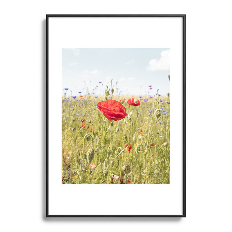 Champ de fleurs sauvages - coquelicot, Noir, H 19 po x l 13 po