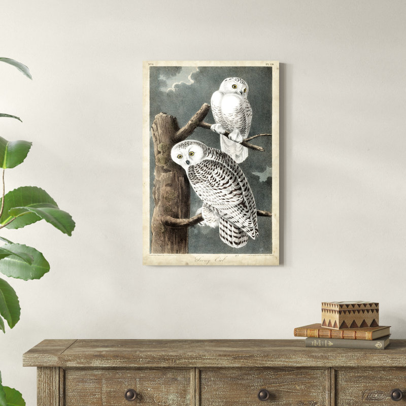 Audubons Harfang des neiges, H 30 po x l 20 po x P 1,25 po