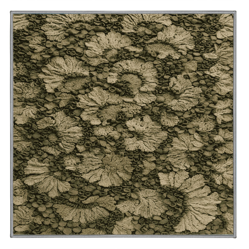 Machine Washable Botanical Brown Area Rug, Square 8'