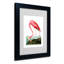 « american flamant rose », reproduction d’art sur toile encadrée-11826459-19296489