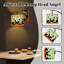 Lampe sur pied Arc Black Cats Vibrant Atomic
