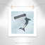 Impression sur papier Happy Hammerhead-47483541-47841854
