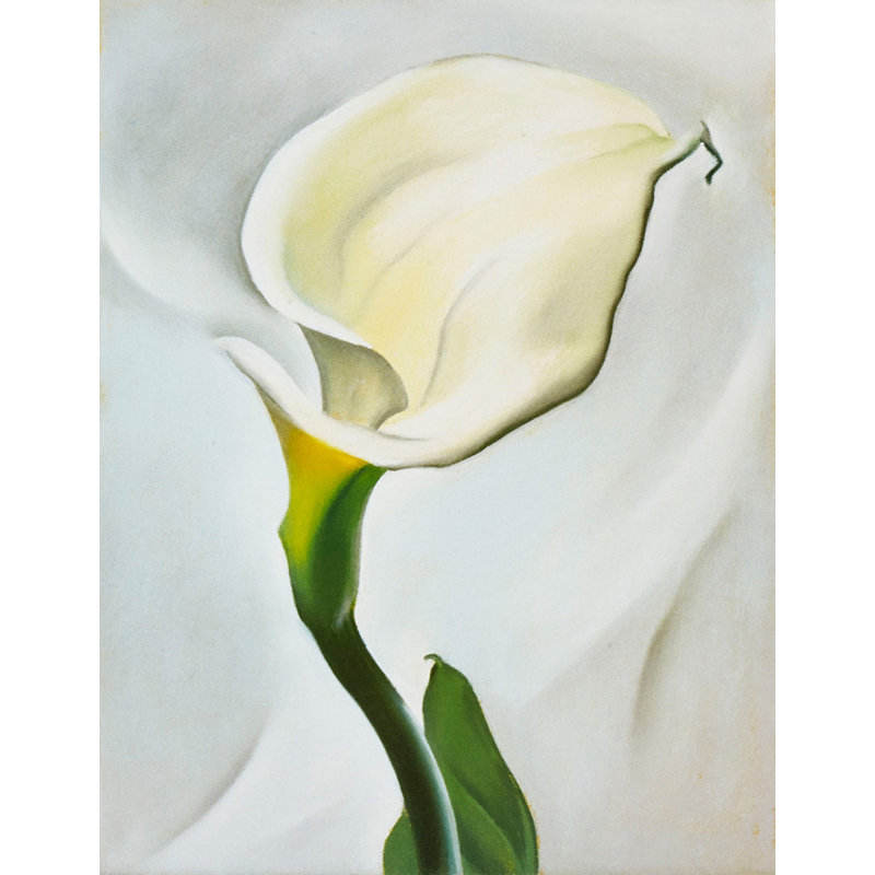 Calla Lily se détourna, H 24 po x l 19 po