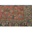 Floral Traditional Area Rug 6x10