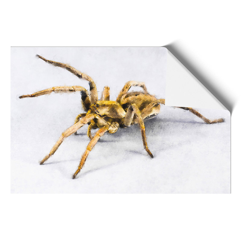 Tarantula Spider Painting - Frameless Print, 21cm H x 30cm W x 0.1cm D