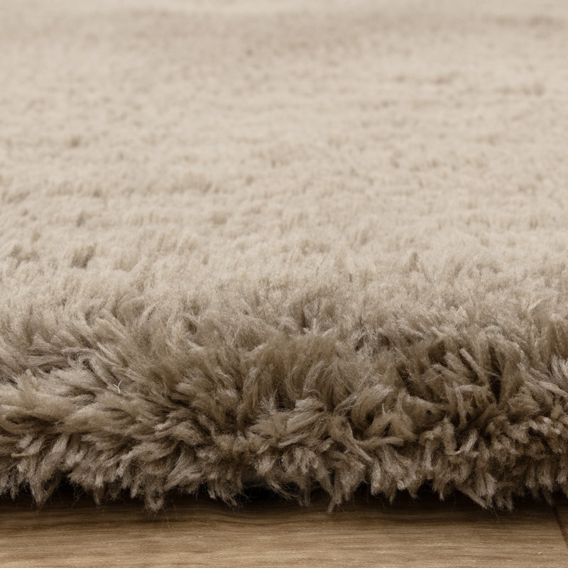 Tachiana Hand Tufted Shaggy Taupe Area Rug, Rectangle 160 x 230 cm
