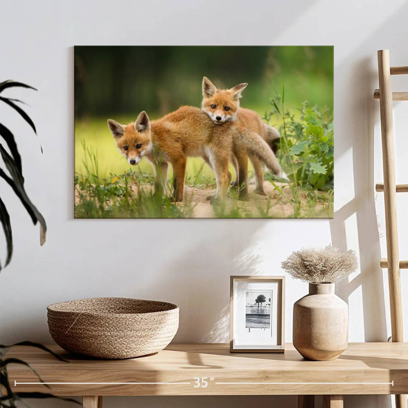 Brampt Fox Kits, 30" H x 45" W